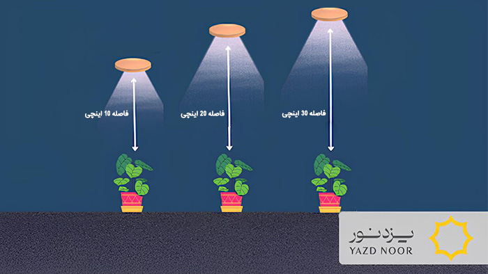 تناسب شدت نور چراغ و فاصله آن با گیاه