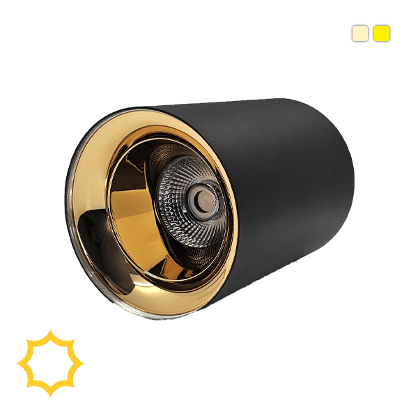 چراغ استوانه ای سقفی 30 وات COB