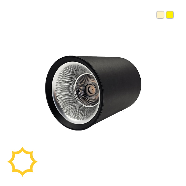 چراغ استوانه ای سقفی 30 وات COB